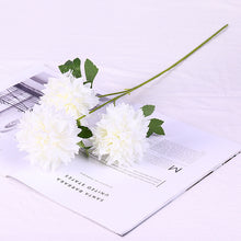 8bd83f4bb6dc99a6dc95b79dd336d21c