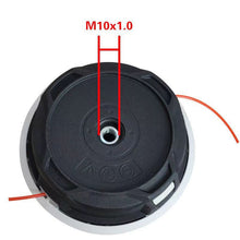 3503d84a792fa3b77af0c057329e42f5