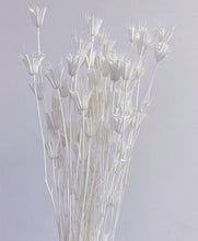 164c86b4c767822ac47d7b3e5a587531