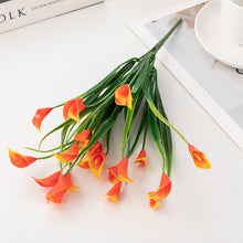 56c48c0130eec2ee63ed2a0550b6933b
