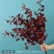 5b1f754fd74d043c20b50410e1cd1c54