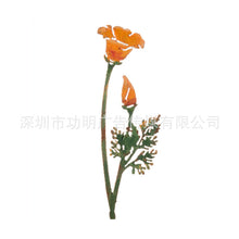 ab1762ff9725ff8848e01c5a3b0cd5ec