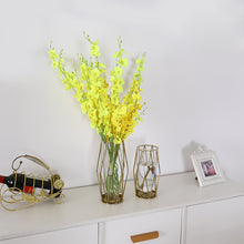 dcc0f34c4fcb24fbec45718d21773eb2