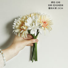 26f51ddb0bdd56dc2f173896061fdfba