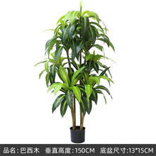 5009ccb8000484f3e157df3ff76fe1d9