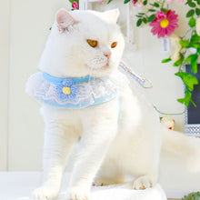 ec27faeff53f9abe03ba616fd74f35dc