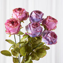 40da39518b67a27bab54ad074b8af08f