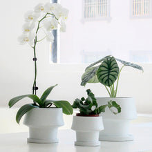 8fcec226893b51dd31b138b59cf92b04