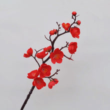 1f49a9443e40fe5010ac423f1b71286b