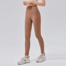 19236b1de24b498f2a4fe1ed1131b904