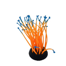 edf0d9e0c8c6d2d234f39df7f530001f