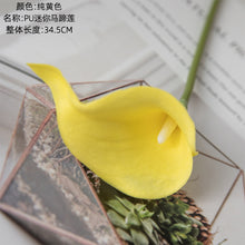 fe8b77e7231aa34103937f431ef9e5da