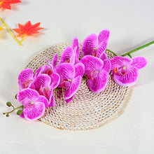 788dcdb70a0fb0e84c43afa1a778a2c0