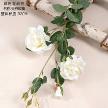 9056a782674be589a636dc100ca5648c