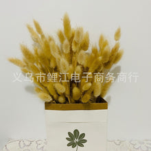 ada61da756a9e701f826807c972bca98