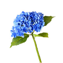 fed9c18f1a53f0d2a0b527fc7090f009