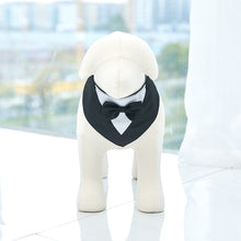 84e8674d7d6852c7492c42f4719748d9