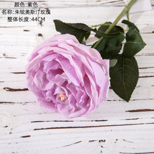5a0909b5b5e281a03697ccbb86a4dc2f