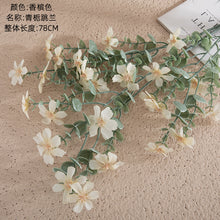 5d36b14cdd66fd0c8cd68916e9122421