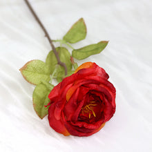 3bbd18688da7ed30a744b7d8e4c2c412