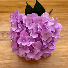 65c970f5292c09ab72aaeddc38da5d6c