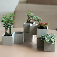 f05a801394850cb5d24f8fc095795c61