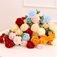 a930855b3509a7bfc9f073f6fc54acb5