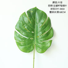 ee8926ca60a1252f9b624f35d9a31d9d