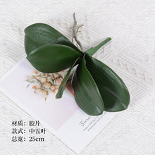 d2206d9a1e3ab59fd276aa43d812b084