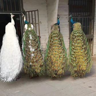 2ec2e9cbdd8e2d9e35bf8cbd0c73b6c6