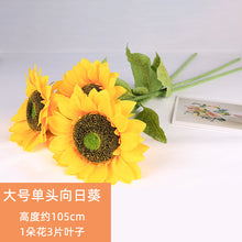 8ed8e3d539571c35887b9633a36c5ec7