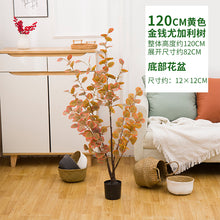 6abe88dec7e517a9d6df3492c29ac7b4