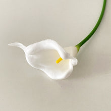5fbed32eb319fd1bf62578dd429f5fc6