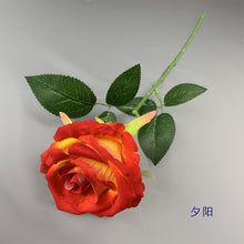e826ebc2444c51d62d9dd2246c582c64