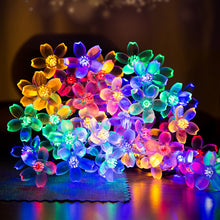 fd9a5015b4245c0c3fc185b1f28a785a