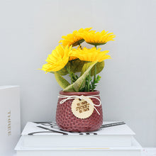 c7f8c7ed638734177170d24ce371d587