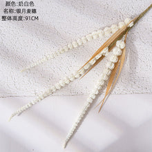 2940f977a30140eae79db276974c1eeb