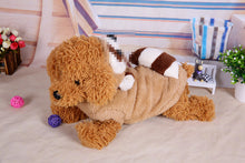8d19af920f3afcdd5a17b1cd493bd526