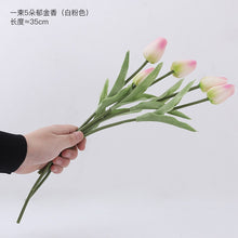 b503cd70739b272c7eabc7b20fc269dc