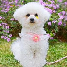 ed0dd809434cf8feab9589b014aff9cd