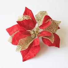 248b6121995e34699db98ebba1858d23