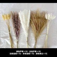 48f444bf91b57696cba5d635141cb6aa