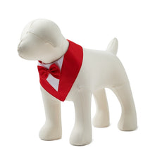 5a88d580bf21b5a4f51a189fab9cae99