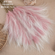 5a3179f90bd2d5731f74de062354eaf2