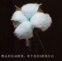 795b5efd0e31e8c66623a90ca2eaa8a0