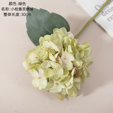 2021dca84bcf12d1806ccfcc7176c202