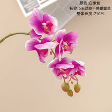 d08773c6d59eb461a0e522942702f82b