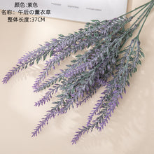 221ae57d6b75d17833aef524a9bdbfff