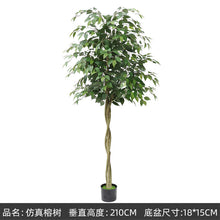 1c8a02c02b40e4bfd10636cfff77b58f