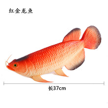 e339c9fe481c7fad6c5ebcd547b0a09b